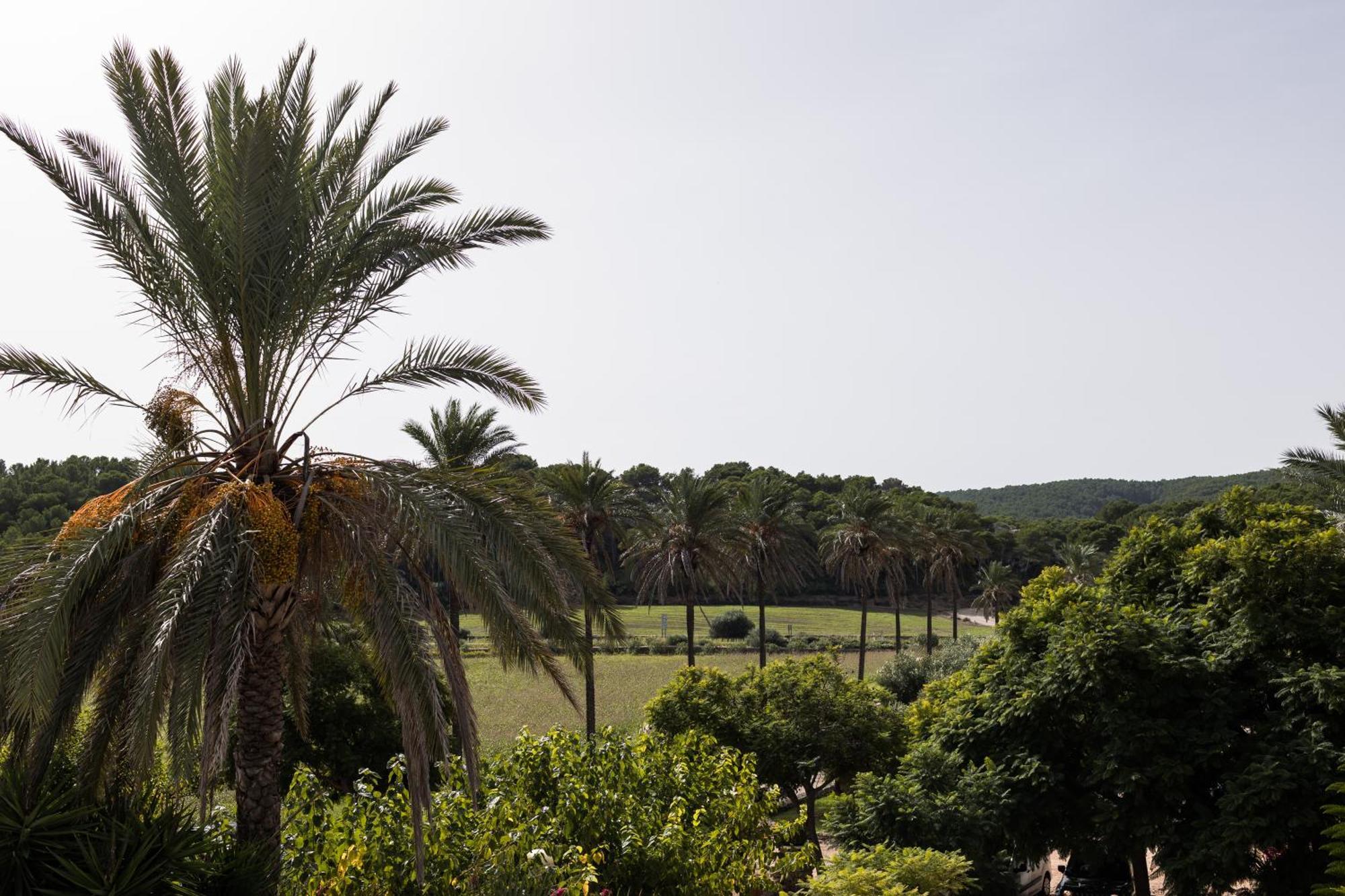 Hotel Llucatx Menorca Son Parc Camera foto